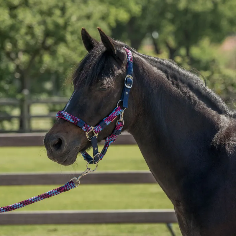 Red Horse Halter Set-1